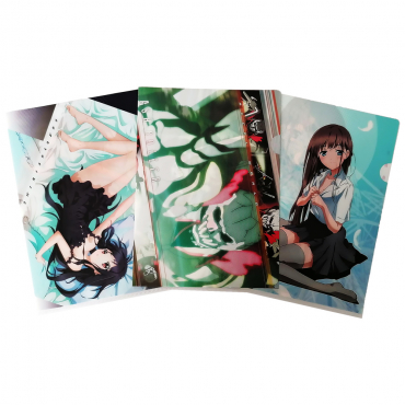 Accel World - Lot de...