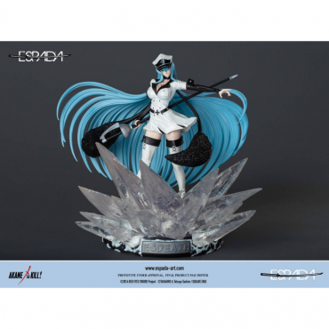 Akame Ga Kill - Figurine...