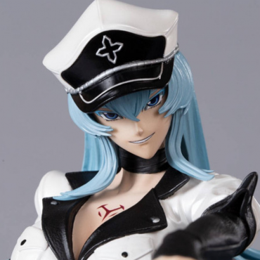 Akame Ga Kill - Figurine...