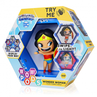 DC Comics - Figurine Wonder...