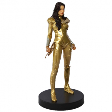 DC Comics - Figurine Wonder...