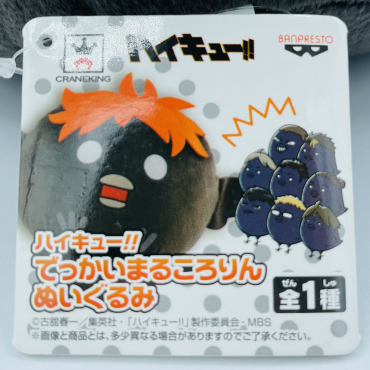 Haikyuu!! - Peluche Hinata...