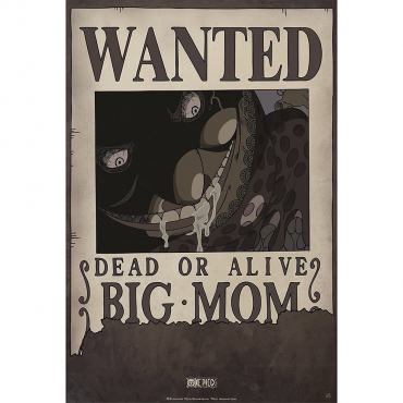 One Piece - Poster Wanted...