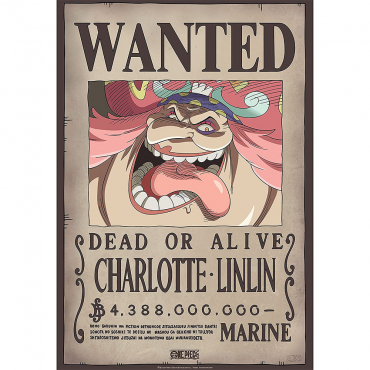 One Piece - Poster Wanted...