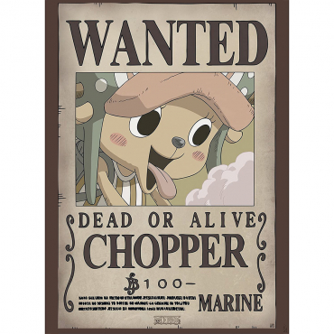 One Piece - Poster Wanted...