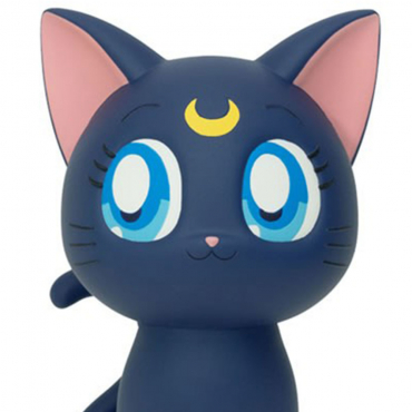 Pretty Guardian Sailor Moon...